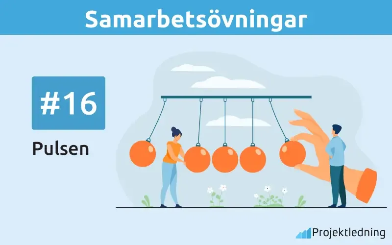 Spindelnatet Samarbetsövningar Pulsen