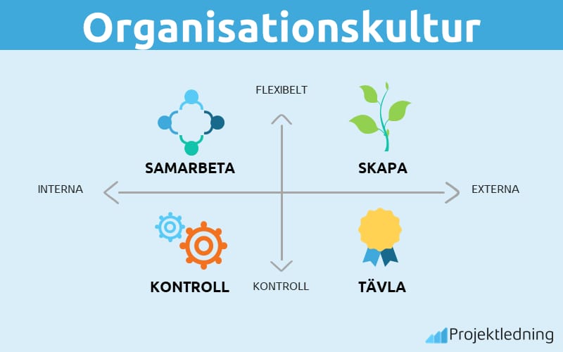 Organisationskultur