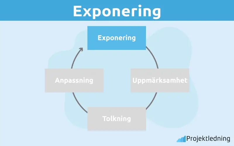 Exponering perceptionsprocessen