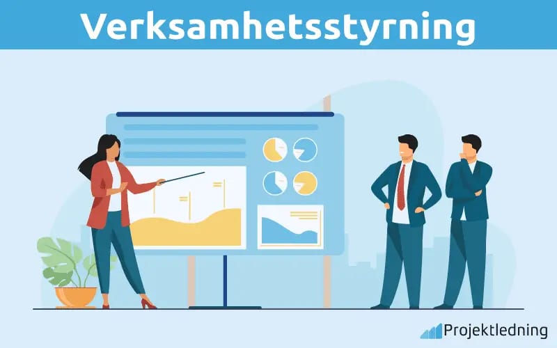 Verksamhetsstyrning