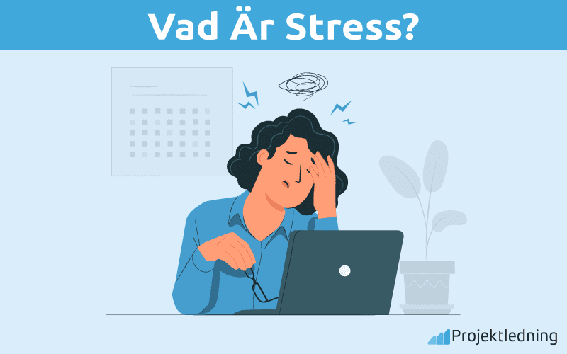 Vad är Stress Vad är Stress