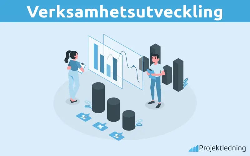 Verksamhetsutveckling